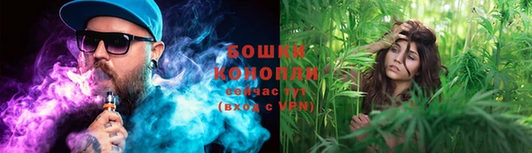 прущие грибы Бородино