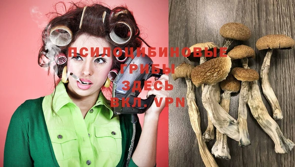 прущие крисы Богданович