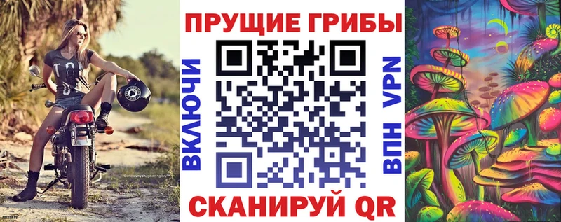 что такое   Дзержинский  Псилоцибиновые грибы прущие грибы 